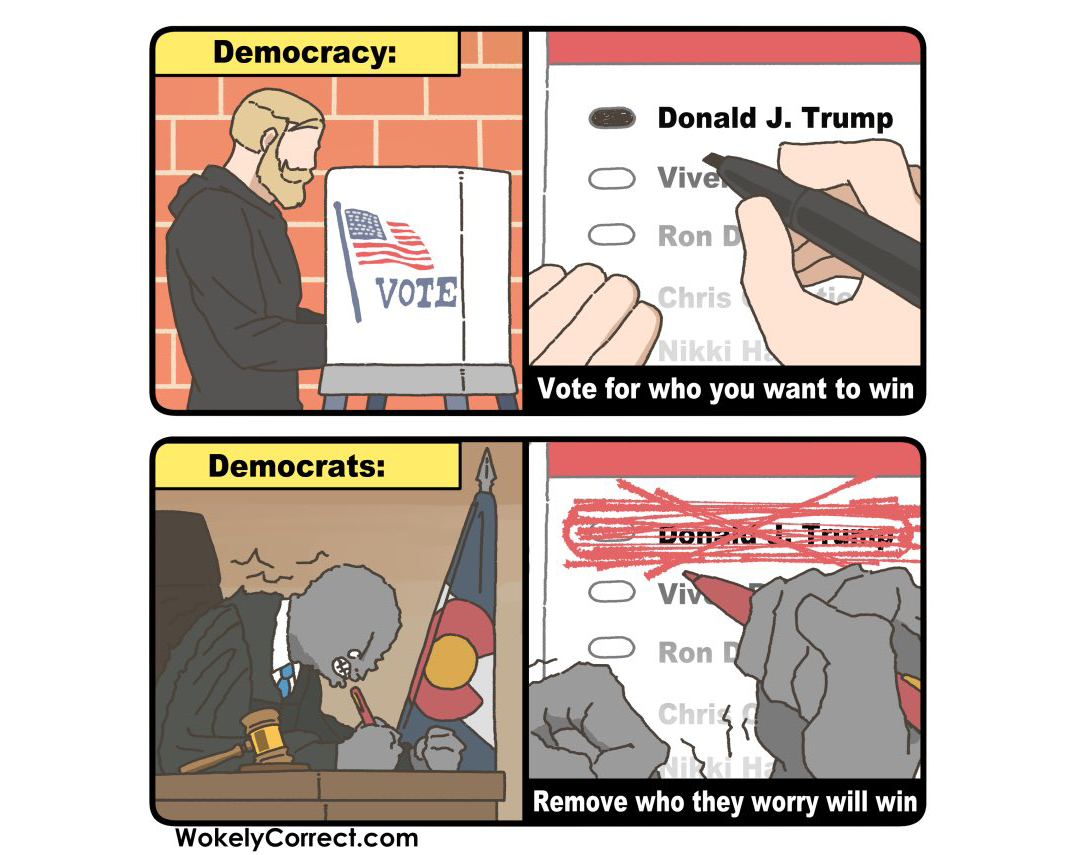 Democracy panel 1